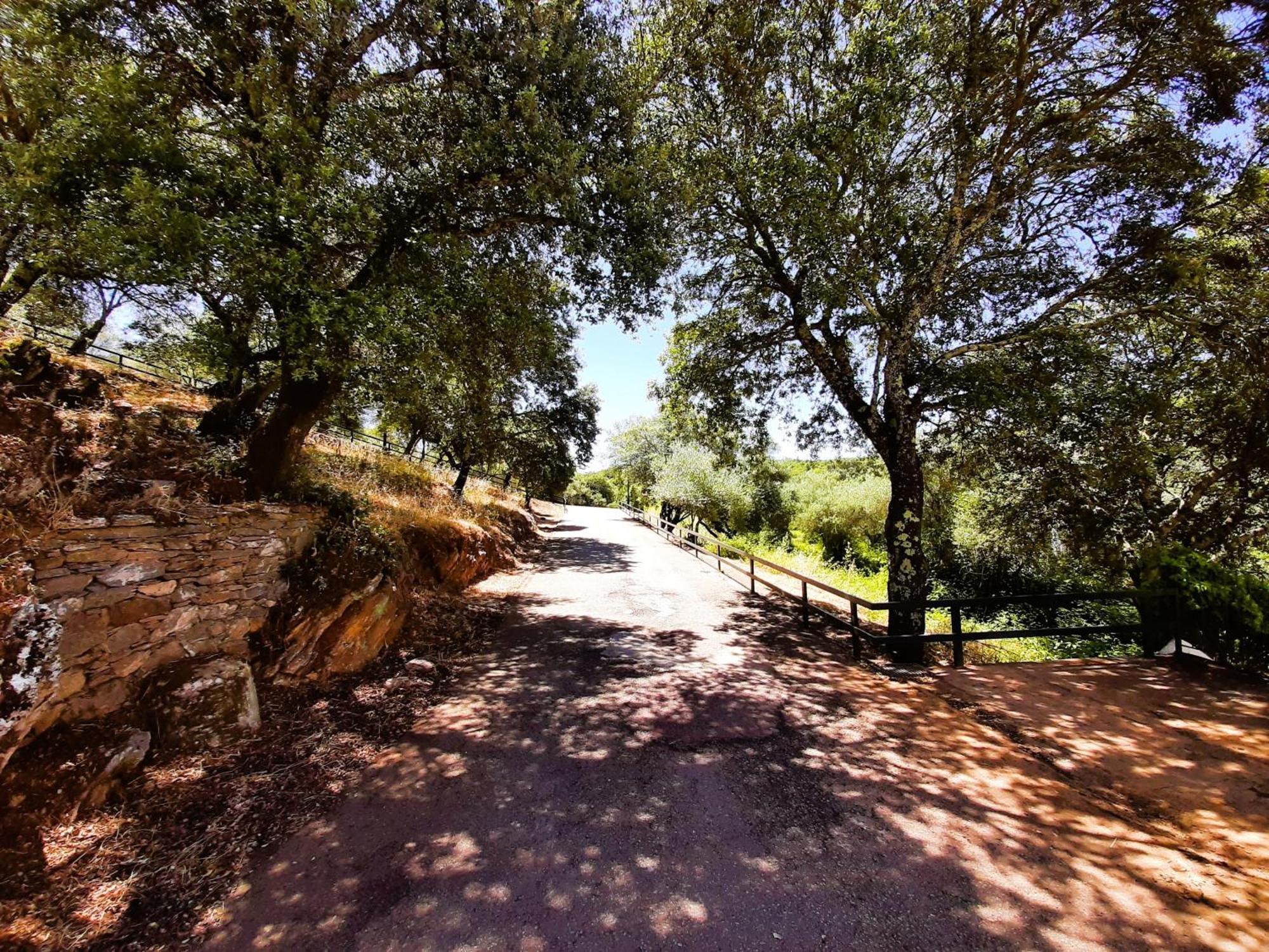Casa vacanze Gurumelo
