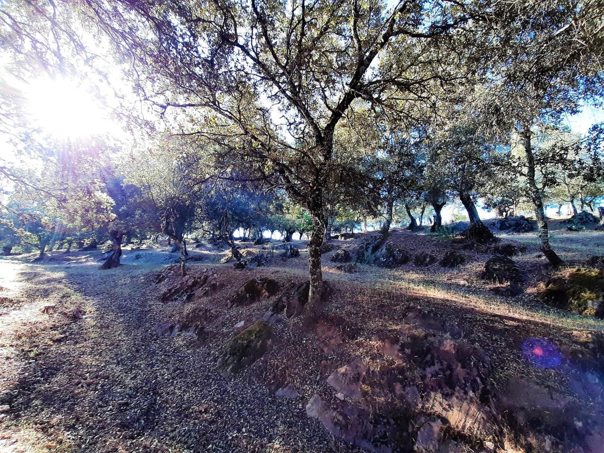 Gurumelo Casa vacanze *